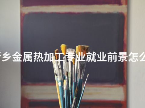 新乡金属热加工专业就业前景怎么样