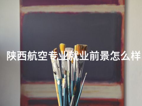 陕西航空专业就业前景怎么样