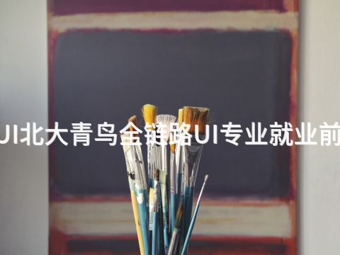 威海BCUI北大青鸟全链路UI专业就业前景怎么样