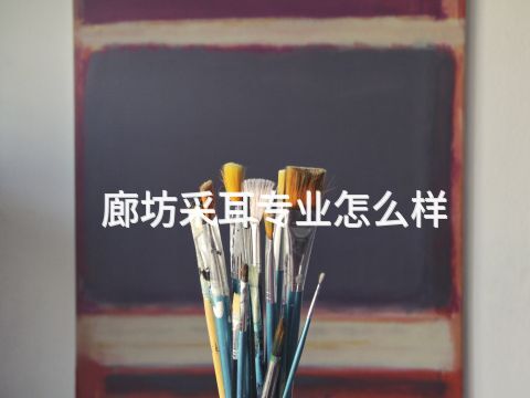 廊坊采耳专业怎么样