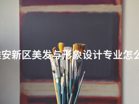 雄安新區美發與形象設計專業怎么樣