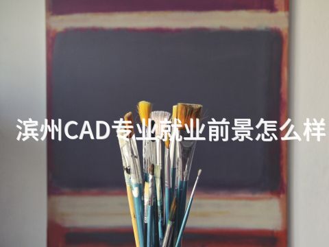滨州CAD专业就业前景怎么样(图1) 滨州CAD专业就业前景怎么样(图1)