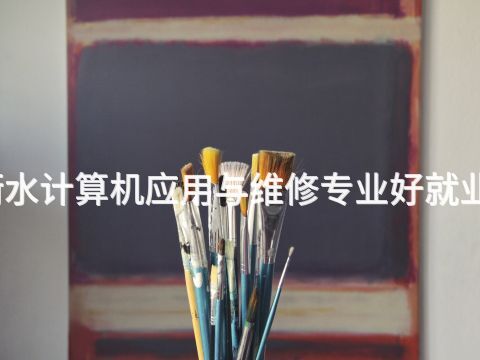 衡水计算机应用与维修专业好就业吗
