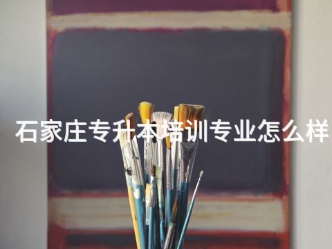 石家庄专升本培训专业怎么样(图1) 石家庄专升本培训专业怎么样(图1)