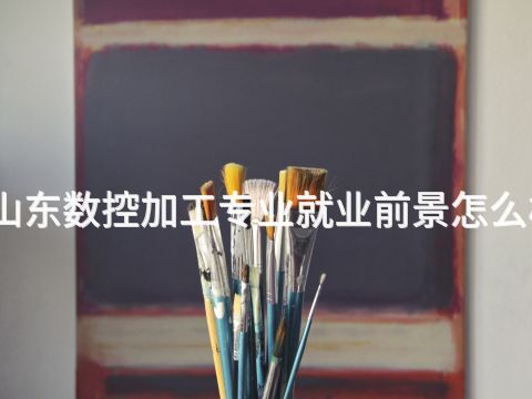 山东数控加工专业就业前景怎么样