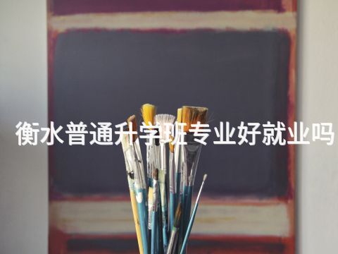 衡水普通升学班专业好就业吗