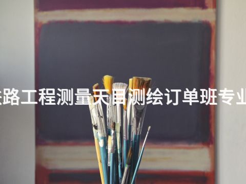 泰安铁路工程测量天目测绘订单班专业怎么样(图1) 泰安铁路工程测量天目测绘订单班专业怎么样(图1)