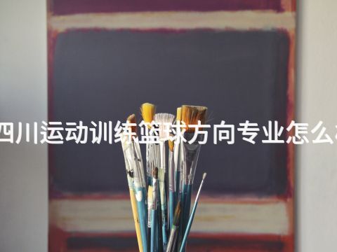 四川运动训练篮球方向专业怎么样(图1)