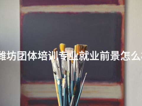 潍坊团体培训专业就业前景怎么样