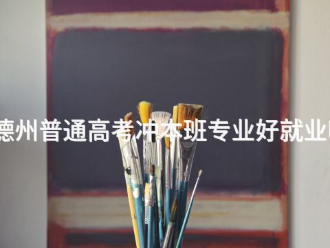 德州普通高考冲本班专业好就业吗