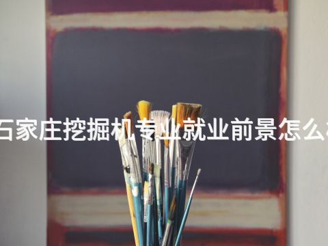石家庄挖掘机专业就业前景怎么样