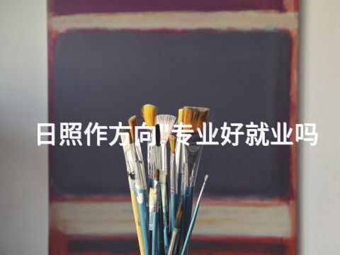 日照作方向"专业好就业吗