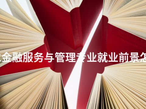 衡水金融服务与管理专业就业前景怎么样