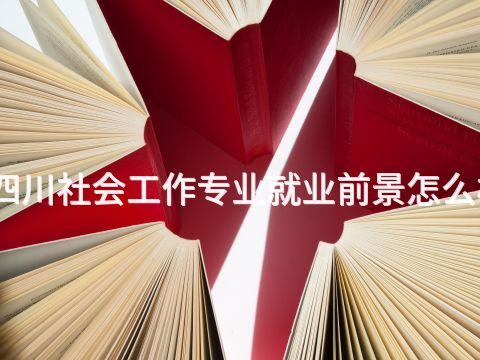 四川社會工作專業就業前景怎么樣