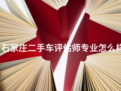 石家庄二手车评估师专业怎么样