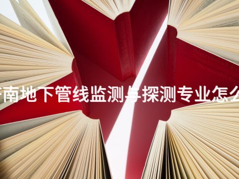 济南地下管线监测与探测专业怎么样