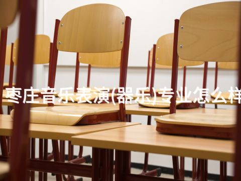 枣庄音乐表演(器乐)专业怎么样