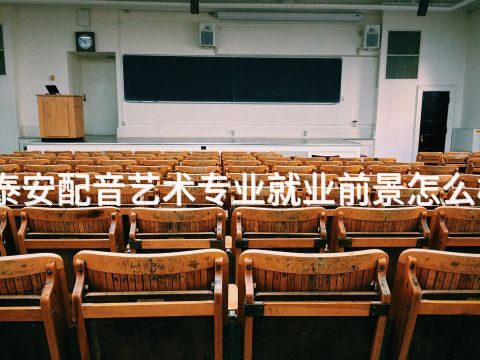 泰安配音艺术专业就业前景怎么样