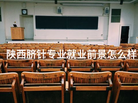 陕西脐针专业就业前景怎么样(图1) 陕西脐针专业就业前景怎么样(图1)