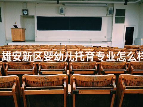 雄安新区婴幼儿托育专业怎么样