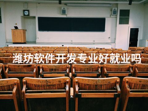 潍坊软件开发专业好就业吗
