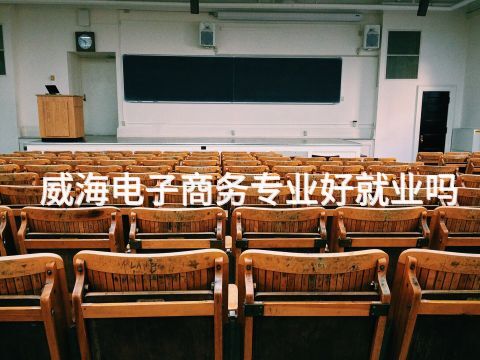 威海电子商务专业好就业吗