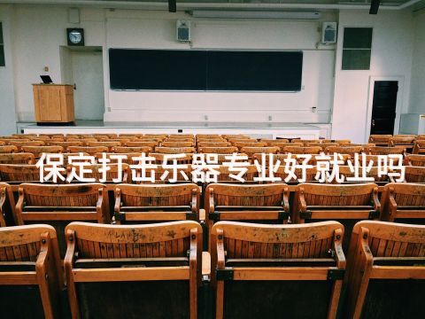 保定打击乐器专业好就业吗(图1) 保定打击乐器专业好就业吗(图1)