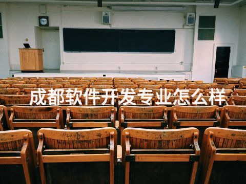 成都软件开发专业怎么样(图1)