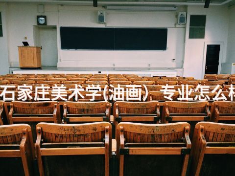 石家莊美術學(油畫)專業怎么樣(圖1) 石家莊美術學(油畫)專業怎么樣(圖1)