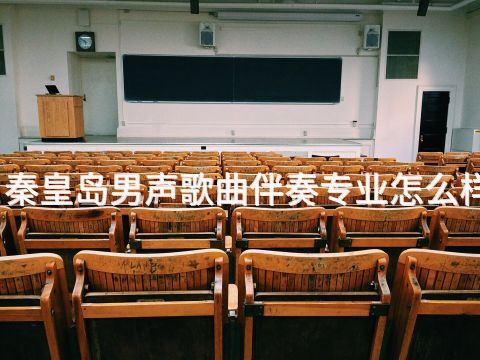 秦皇島男聲歌曲伴奏專業怎么樣