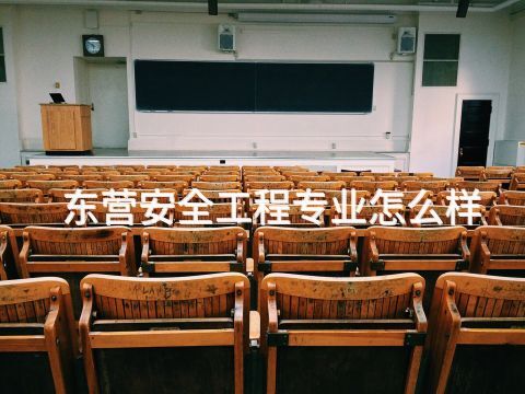 东营安全工程专业怎么样