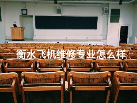衡水飞机维修专业怎么样(图1) 衡水飞机维修专业怎么样(图1)