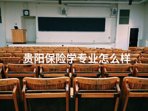 贵阳保险学专业怎么样