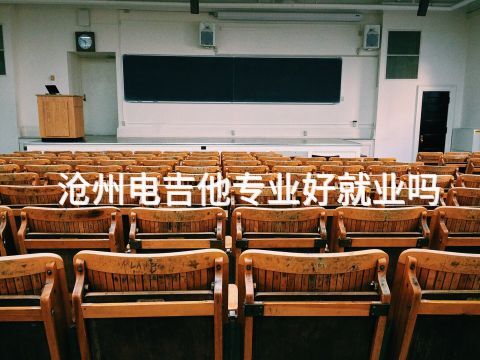 沧州电吉他专业好就业吗(图1) 沧州电吉他专业好就业吗(图1)