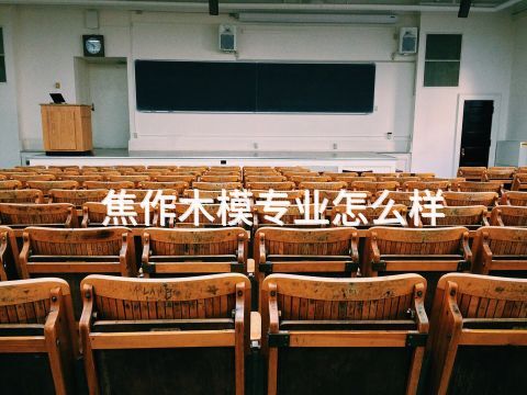 焦作木模专业怎么样