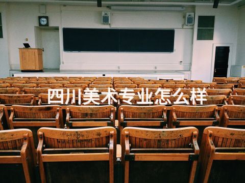 四川美术专业怎么样(图1) 四川美术专业怎么样(图1)