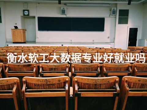 衡水软工大数据专业好就业吗