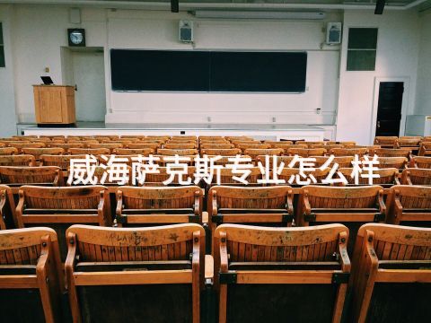 威海萨克斯专业怎么样(图1) 威海萨克斯专业怎么样(图1)