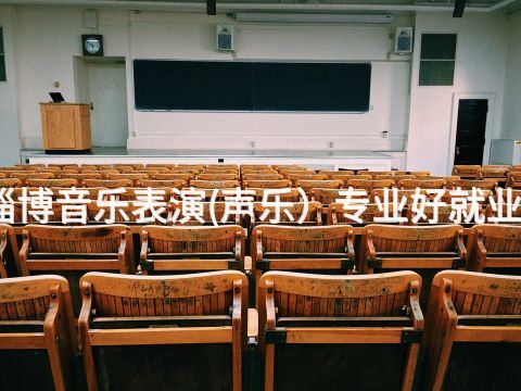 淄博音乐表演(声乐）专业好就业吗