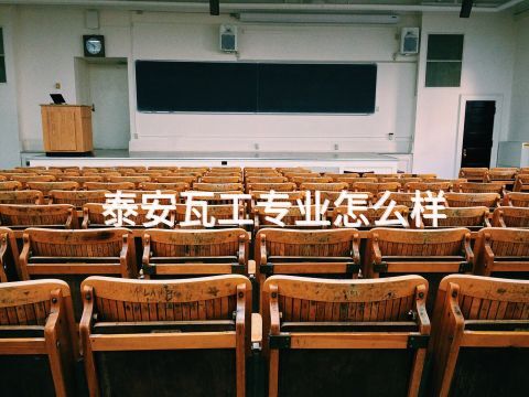 泰安瓦工专业怎么样