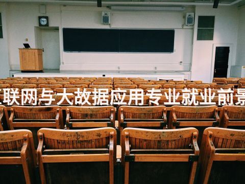 烟台互联网与大故据应用专业就业前景怎么样