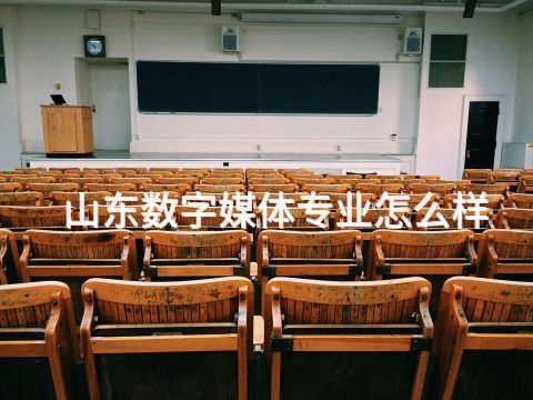 山东数字媒体专业怎么样(图1)