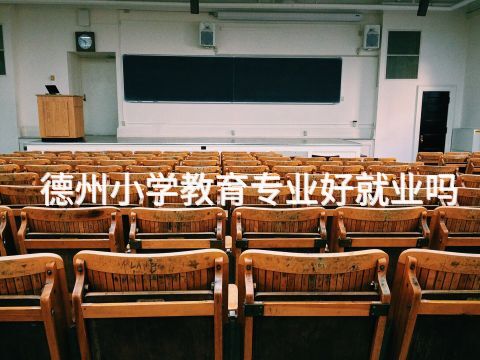 德州小学教育专业好就业吗