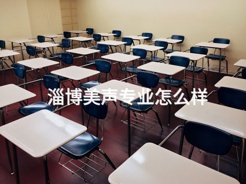 淄博美声专业怎么样