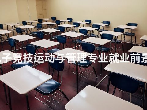 邯郸电子竞技运动与管理专业就业前景怎么样(图1) 邯郸电子竞技运动与管理专业就业前景怎么样(图1)