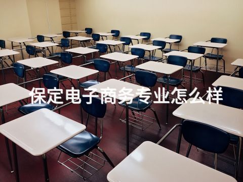 保定电子商务专业怎么样