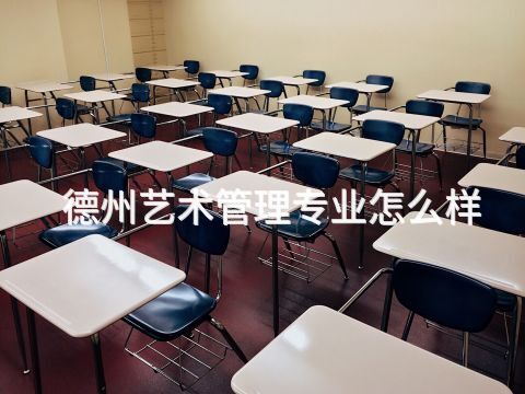 德州艺术管理专业怎么样