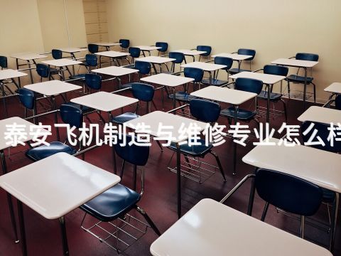 泰安飞机制造与维修专业怎么样(图1) 泰安飞机制造与维修专业怎么样(图1)