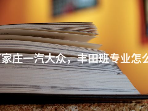 石家莊一汽大眾,豐田班專業(yè)怎么樣(圖1) 石家莊一汽大眾,豐田班專業(yè)怎么樣(圖1)