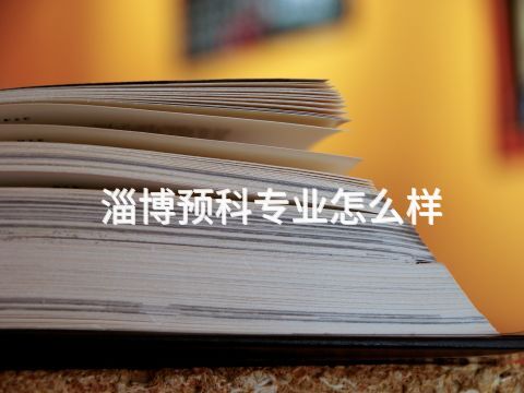 淄博预科专业怎么样